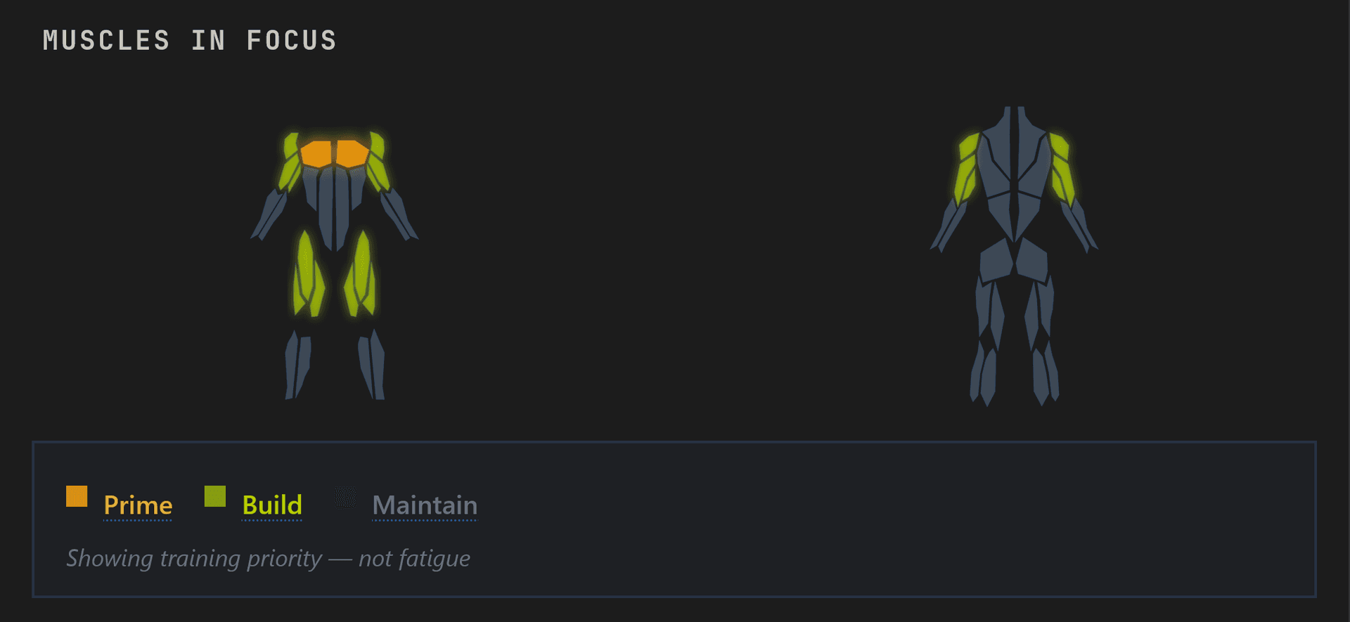 Muscle priority map with Prime, Build, and Maintain tier assignments